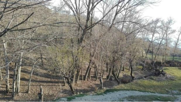 El paraje de Guadix donde se encontraba enterrado el cadáver de Pilar