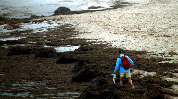 Aspecto de la playa de Los Lances en Tarifa en una imagen del pasado 15 de julio.