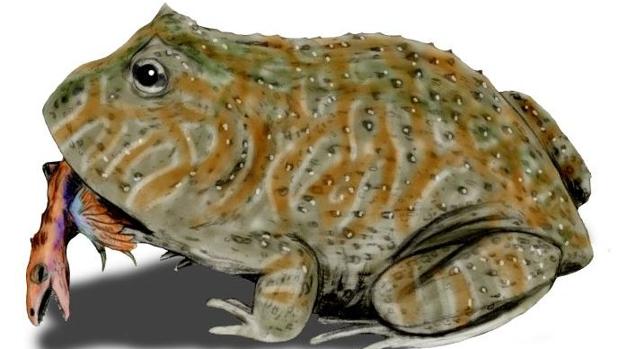 Recreación de «Beelzebufo»