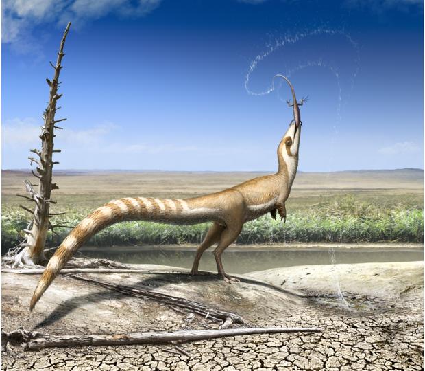 Sinosauropteryx, en el hábitat abierto en el que vivió hace 130 millones de años en el Cretácico Inferior