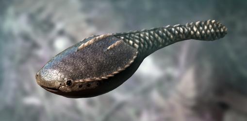 Un pez blindado de hace 455 millones de años, en las aguas de lo que hoy es Colorado (EE.UU.)