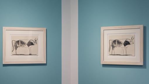 «Toro», litografía de Picasso. Dos de los once estados en los que Picasso retrató al toro desde el realismo hasta casi llegar a la abstracción