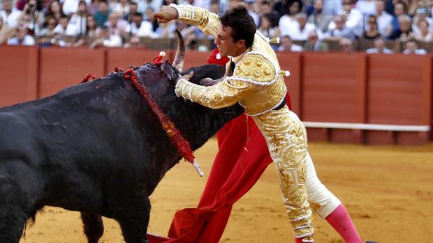 Rafael Serna, herido tras enterrar una estocada