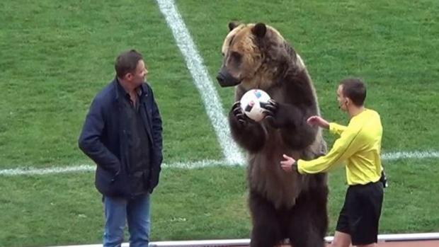 El oso entrega el balón del partido al árbitro