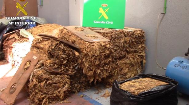 Hojas de tabaco intervenidas por la Guardia Civil en una nave de Ontígola
