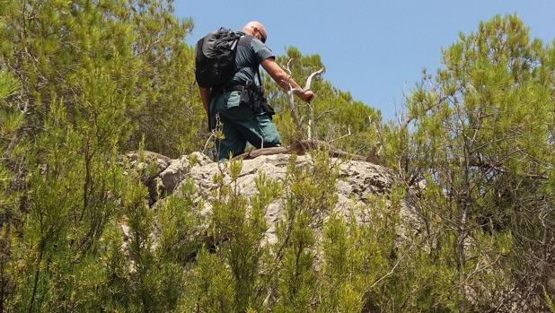 Imagen del operativo de rescate de la Guardia Civil