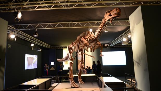 Museu de les Ciències de València