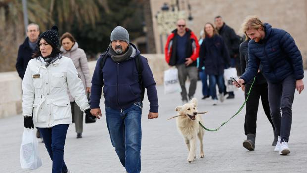 Imagen tomada esta semana en el centro de Valencia