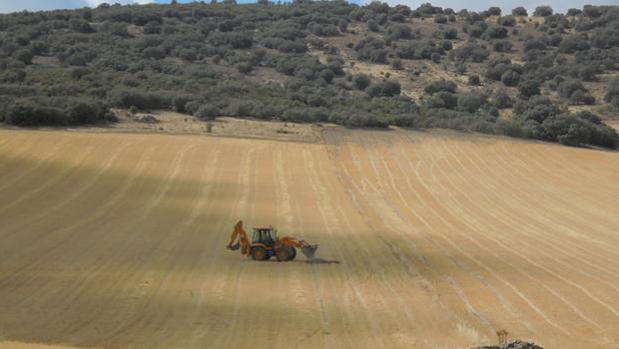 Uno de los campos entre Torrenueva y Torre de Juan Abad donde estaban proyectadas las tierras raras