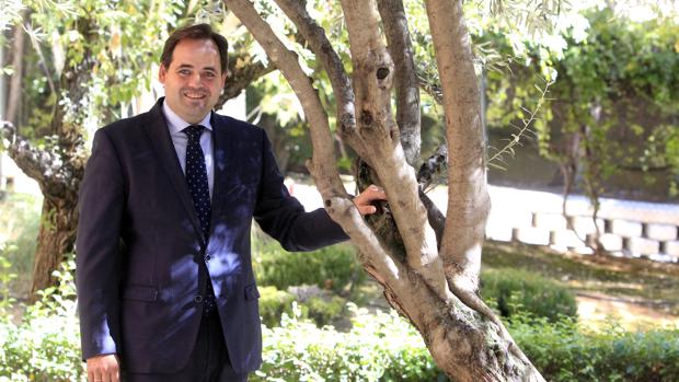 El presidente del PP de Castilla-La Mancha, Francisco Núñez