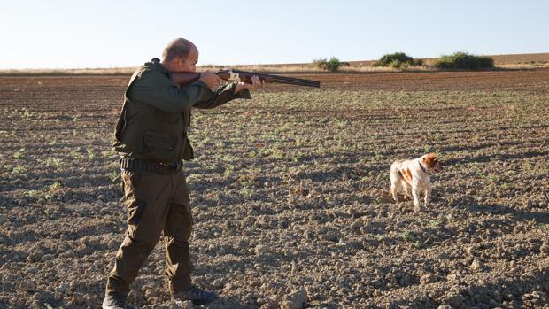 Un cazador en el comienzo de la media veda en Castilla y León