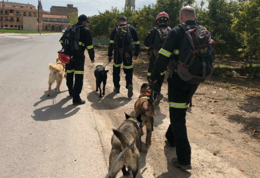 Efectivos de los Bomberos forestales realizando una batida de búsqueda del desaparecido