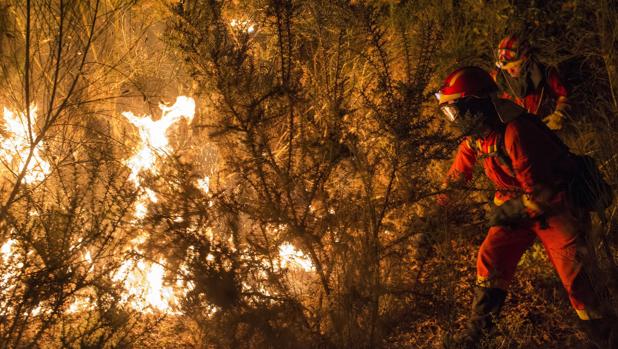 Brigadistas luchan contra el fuego durante la noche