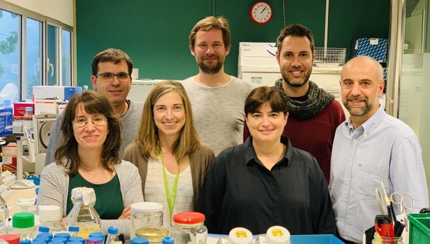 Una imagen del equipo del Instituto de Investigación del Sida IrsiCaixa