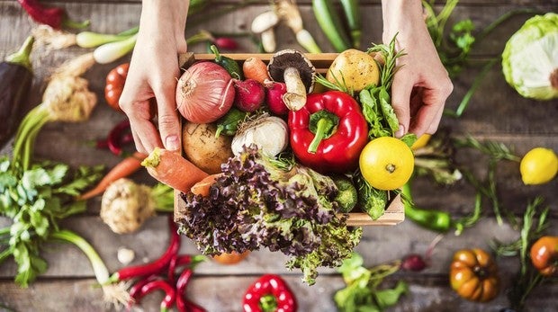 Los alimentos orgánicos son los que no han sido cultivados utilizando productos químicos.