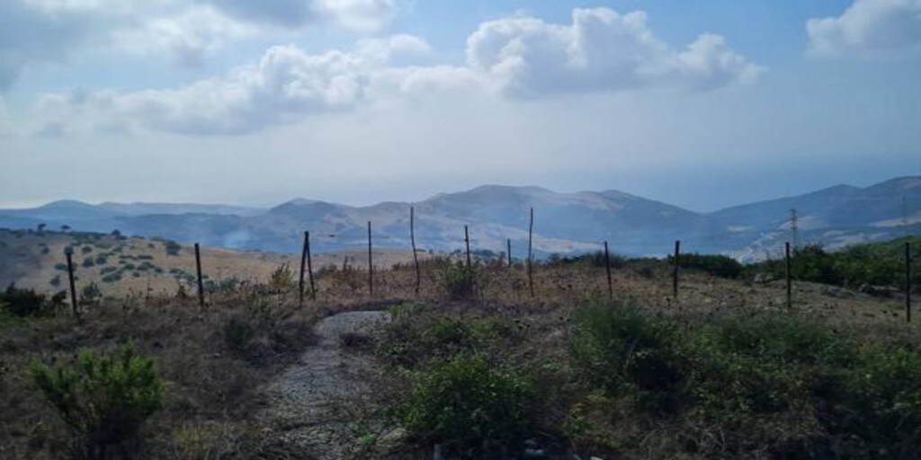 La Voz de Cádiz: Los incendios forestales no se confinan