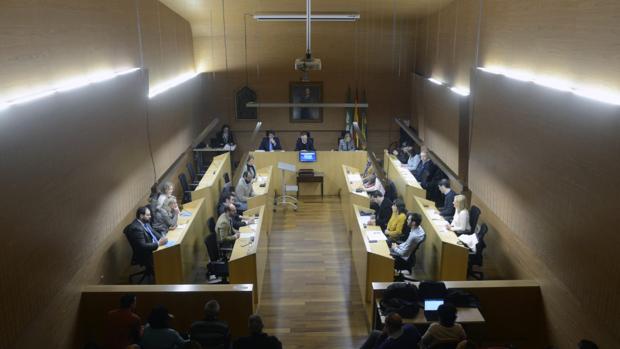 El Pleno dará su apoyo a los trabajadores.