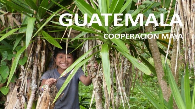 Cartel de la exposición.