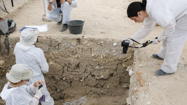 El Ayuntamiento denuncia que se han ocasionado daños y destrozos en la zona de excavación.