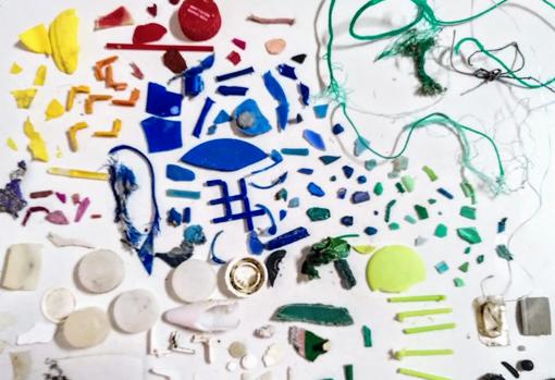 A través de una aplicación con inteligencia artificial es posible clasificar la basura marina.