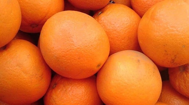 Alimentos Orgánicos