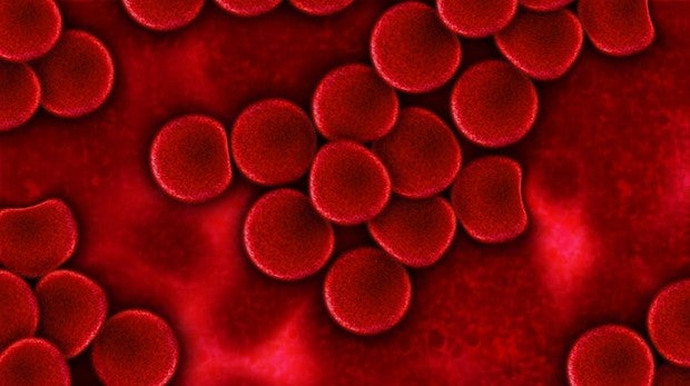 El rituximab más ibrutinib logra que los pacientes con leucemia linfocítica crónica estén libres de la enfermedad durante más tiempo