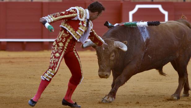 Antonio Ferrera, en la Real Maestranza