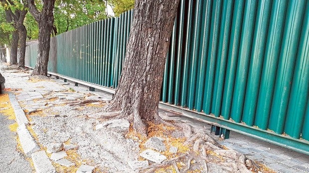 Estado de la acera en la avenida de Alfredo Kraus