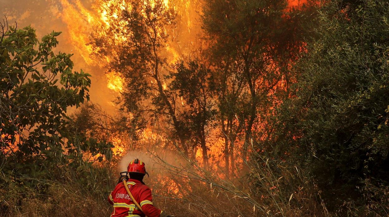¿Por qué el fuego del Algarve se propaga desde hace seis días?